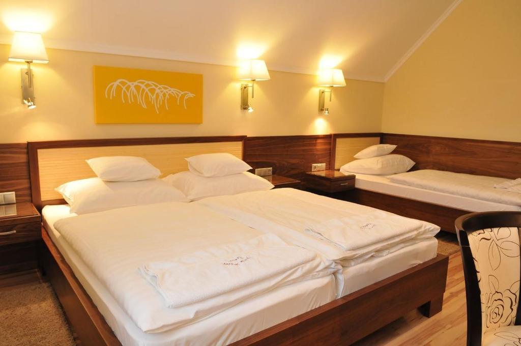 Mizse Motel Lajosmizse Pokoj fotografie